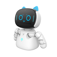 Kebbi Robot