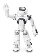 Nao Power V6-1-1