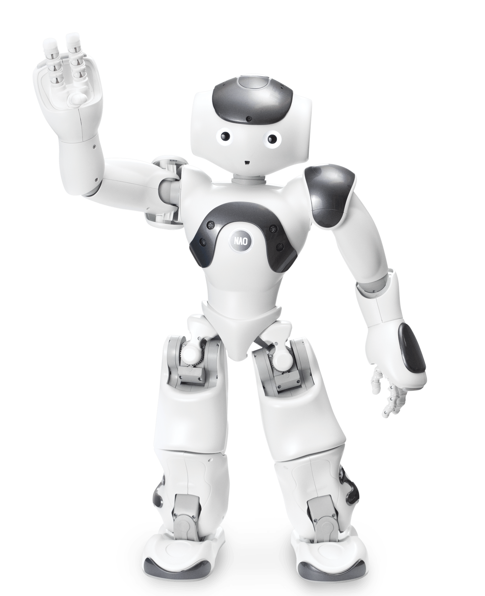 Nao Power V6-1-1