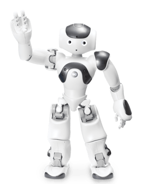 Nao Power V6-1-1