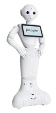 Pepper Research and Coding