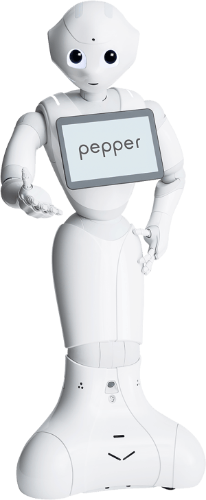 Pepper Robot-1