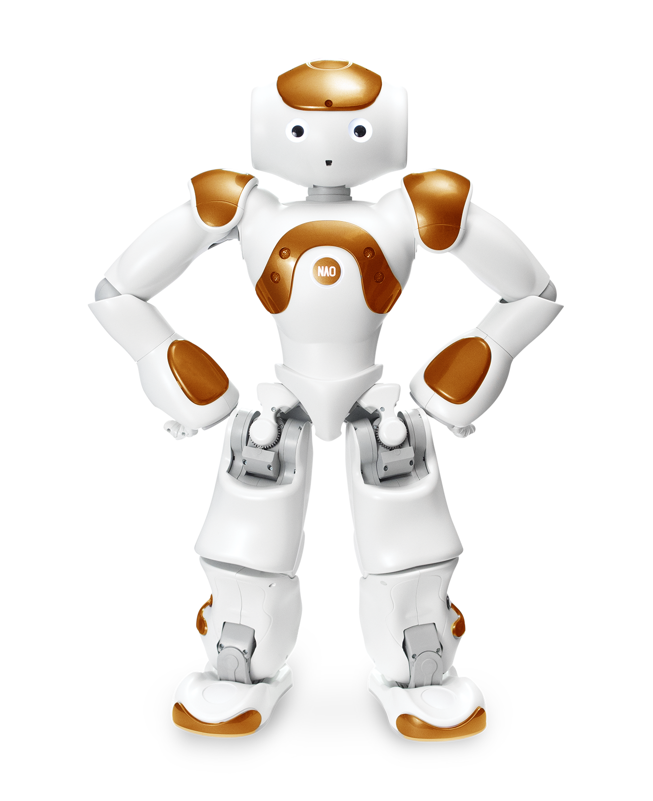 NAO V6 Programmable Robot