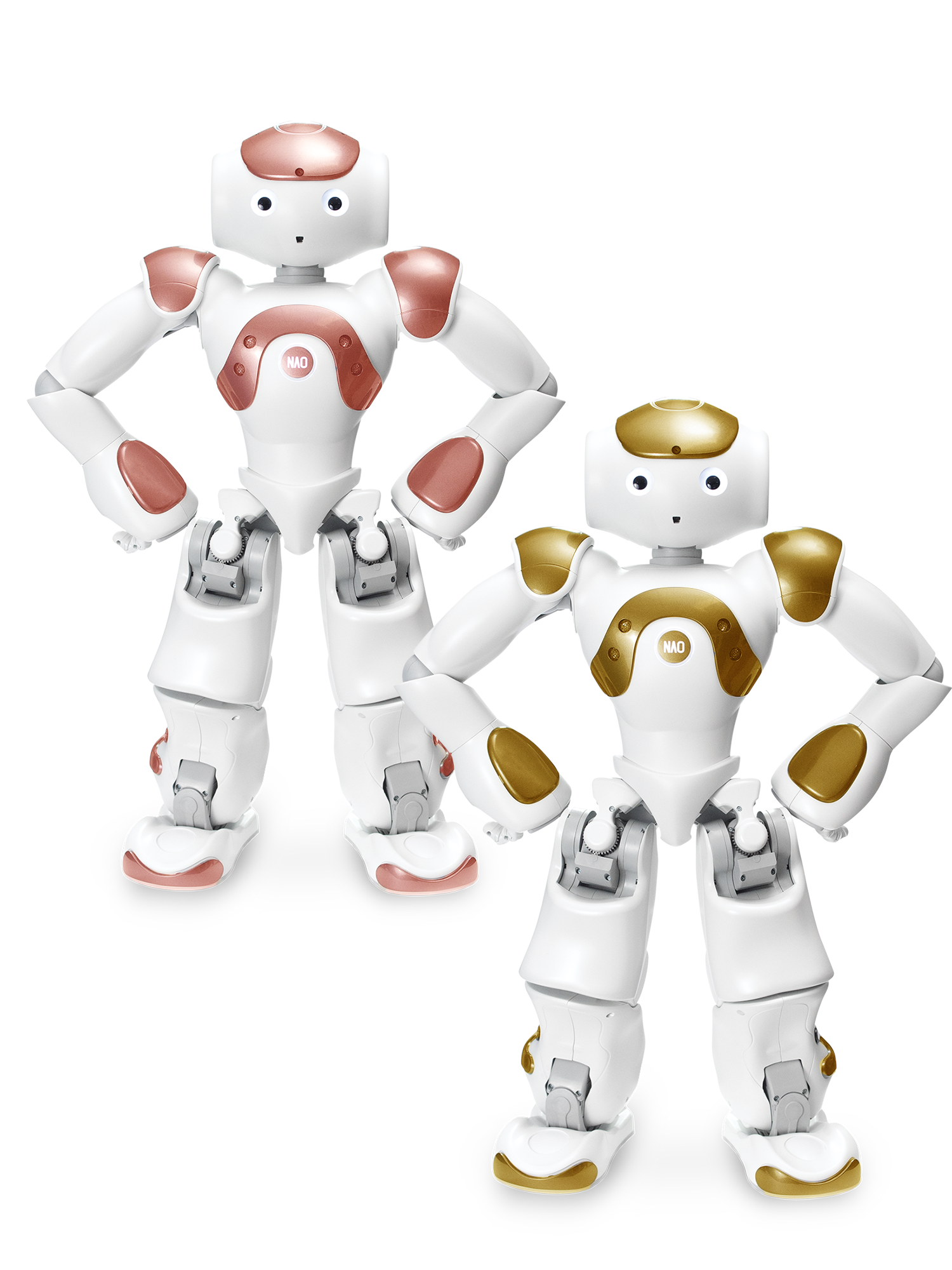 Robô Humanóide NAO Edição Premium