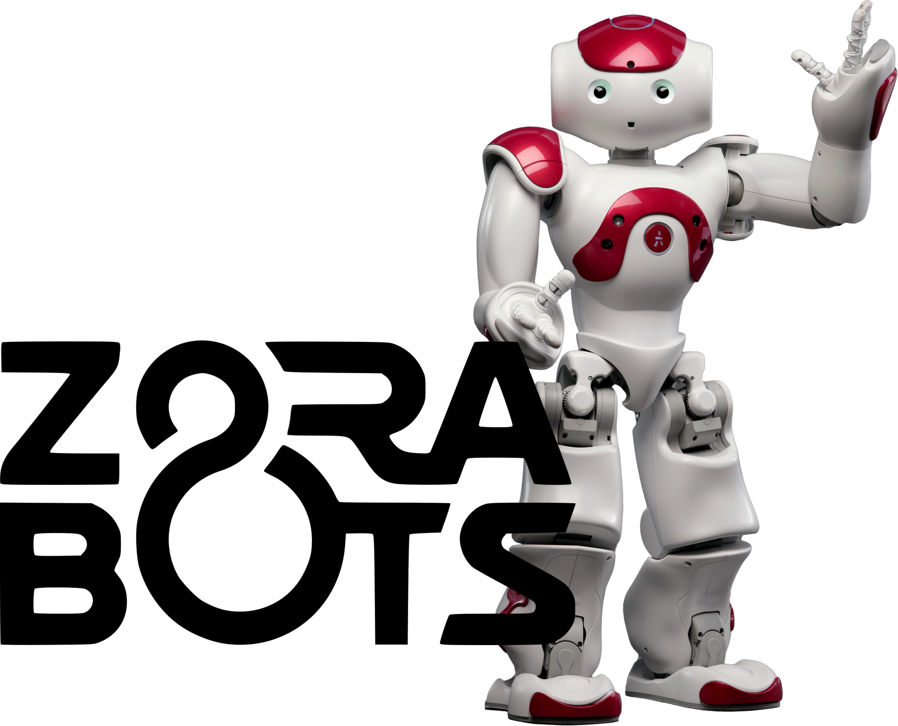 Zora Robot SOFTWARE