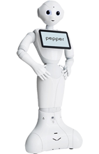 Pepper-PF-1