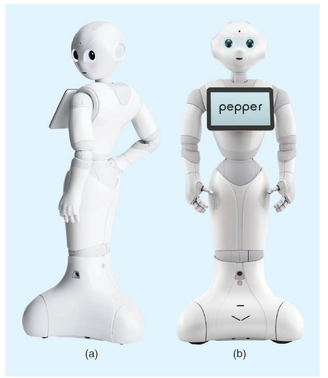 A Mass-Produced Sociable Pepper: The First Machine of Its Kind