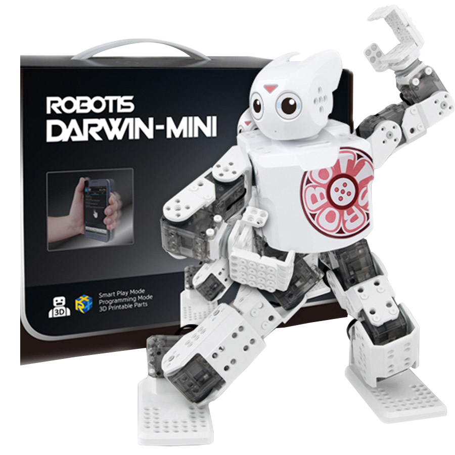 mini robot programmable